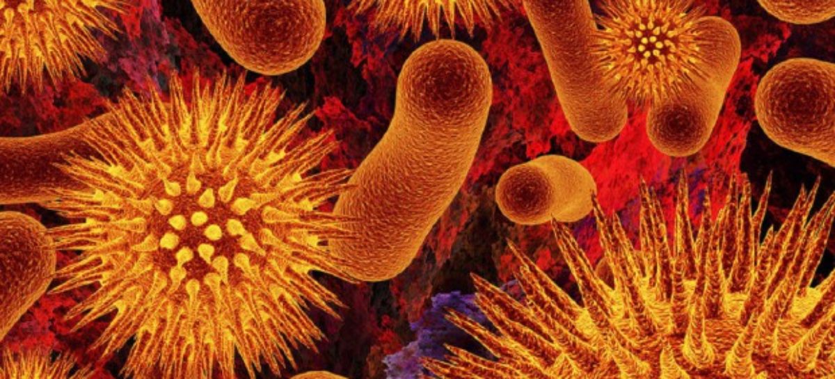 Nieszkodliwe bakterie mogą ulec przemianie w postać bardziej agresywną